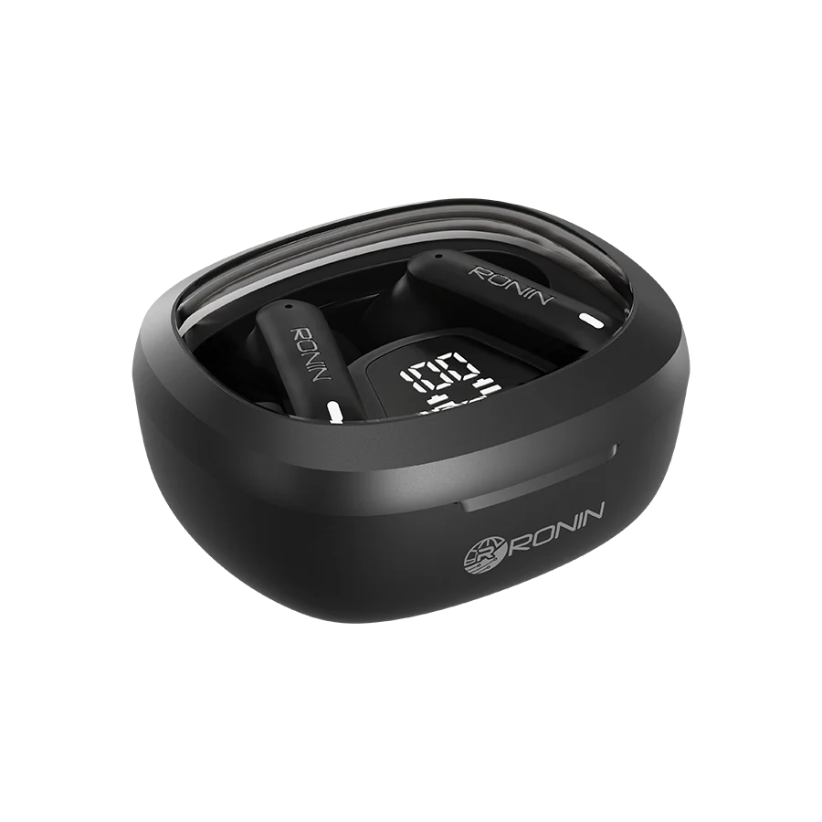R-540 EarBuds