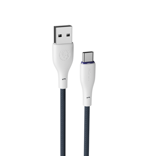 R-2025 Type-C Cable